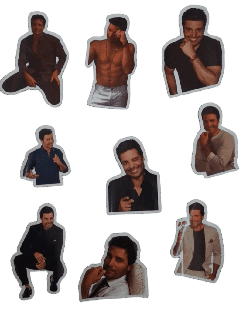 Stickers artista favorito - Imagen 3